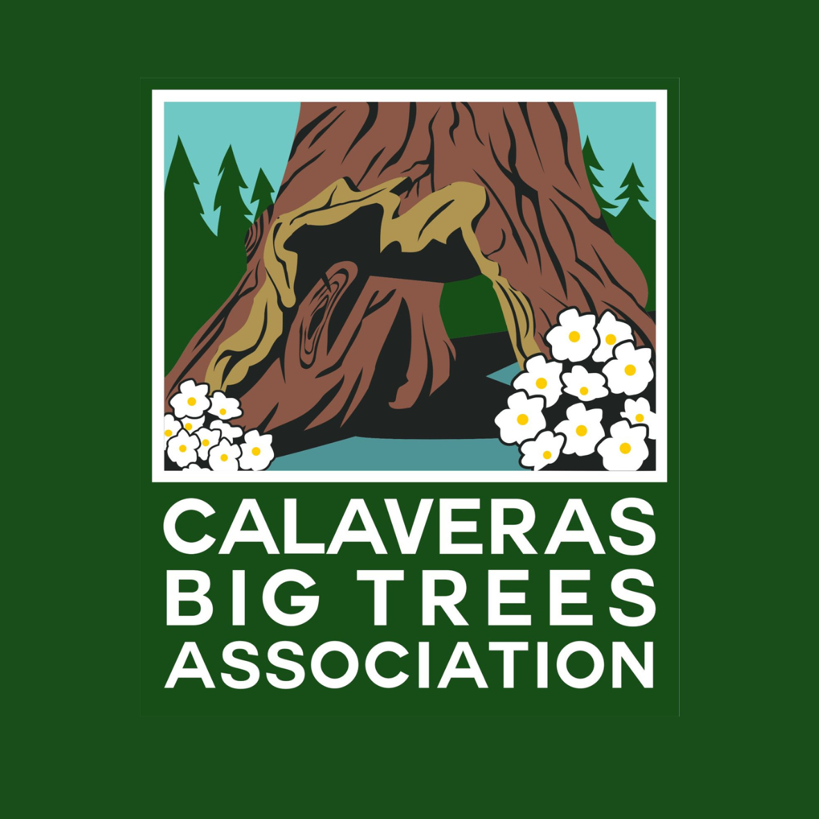 Calaveras Big Trees Association Logo